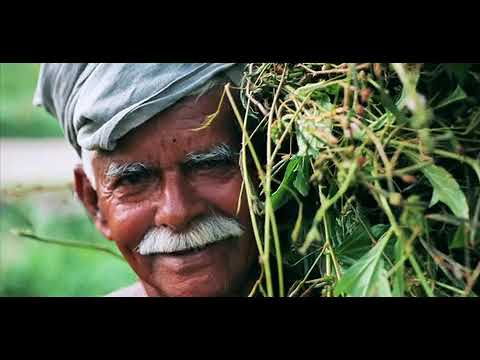 Cheruthari mannil palanira mannil.. Chernnezuthamoru shubhakalam